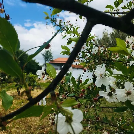 A Casa Dos Avos Daire *