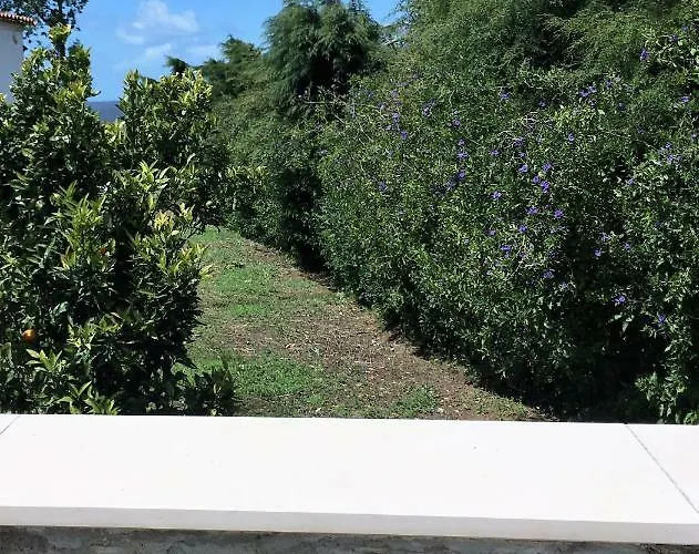 A Casa Dos Avós Apartamento